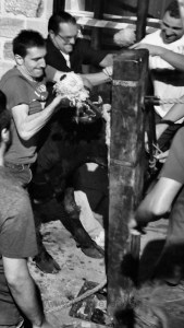 DSC02568 [1600x1200]