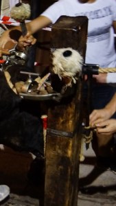 DSC02571 [1600x1200]