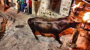 DSC02579 [1600x1200]