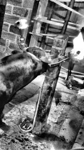 DSC02580 [1600x1200]