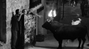 DSC02601 [1600x1200]