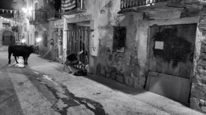 DSC02610 [1600x1200]