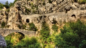 DSC03193 [1600x1200]