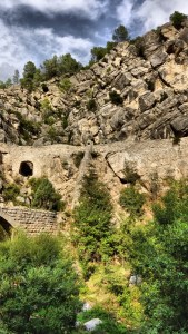 DSC03194 [1600x1200]