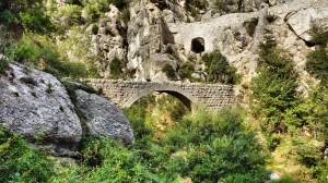 DSC03195 [1600x1200]