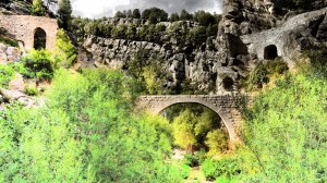 DSC03198 [1600x1200]