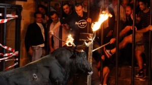 DSC03294 [1600x1200]