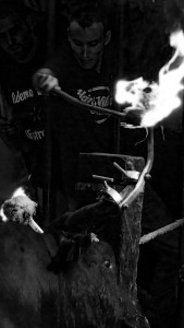 DSC03297 [1600x1200]