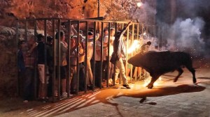 DSC03320 [1600x1200]