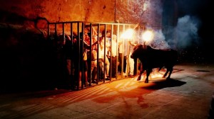 DSC03321 [1600x1200]