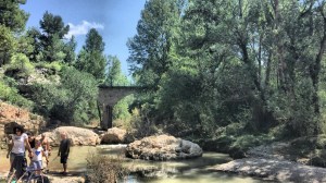 IMG_8659 [1600x1200]