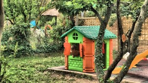 IMG_8926 [1600x1200] reloj de cuco